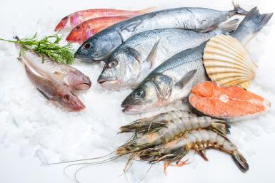 poze alfredo seafood pestele ultra proaspat reprezinta la ora actuala