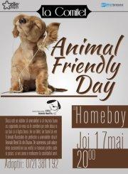 poze animal friendly day in brasov