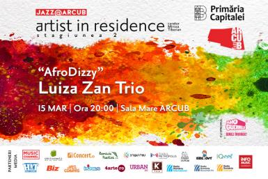 poze artist in residence luiza zan trio