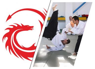poze asr aikido curs de aikido pentru adulti