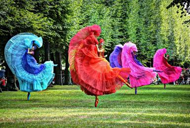 poze baletul culorilor the ballerinas sibiu