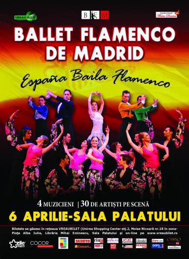 poze ballet flamenco de madrid la sala palatului