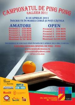 poze campionatul de ping pong galleria 2011