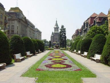 poze  cartile vin la tine in cartier timisoara