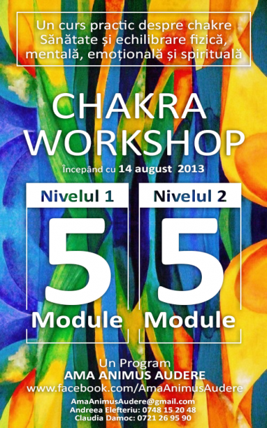 poze chakra workshop