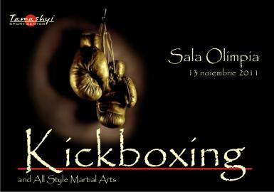 poze competitie de kickboxing la timisoara