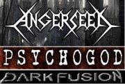poze concert angerseed si psychogod in club damage