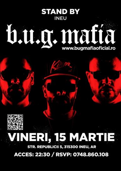 poze concert bug mafia in ineu 