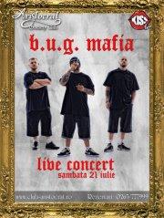 poze concert bug mafia in sighisoara