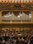 poze concert cameral