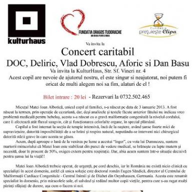 poze concert caritabil doc deliric aforic vlad dobrescu dan basu in kulturhaus