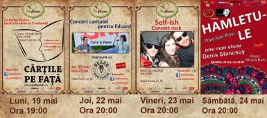 poze concert caritabil pentru eduard in la perne cluj