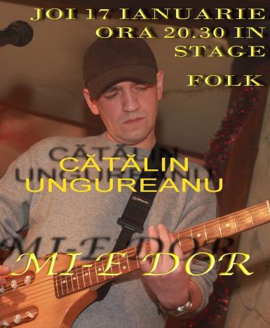 poze concert catalin ungureanu