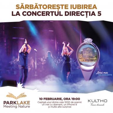 poze concert direc ia 5 10 februarie in parklake shopping center