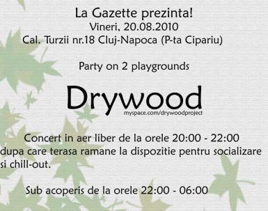 poze concert drywood cluj 