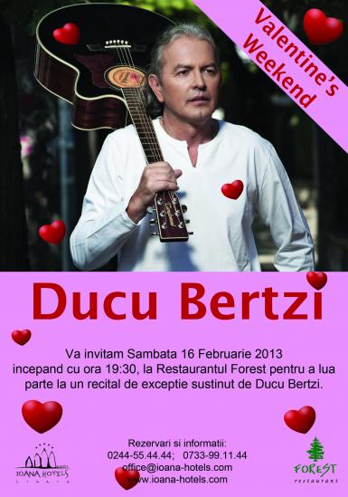 poze concert ducu bertzi 