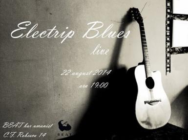 poze concert electrip blues