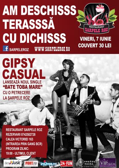 poze concert gipsy casual