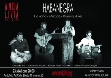 poze concert habanegra in andalivia art club