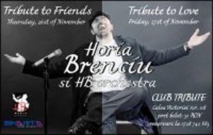 poze concert horia brenciu