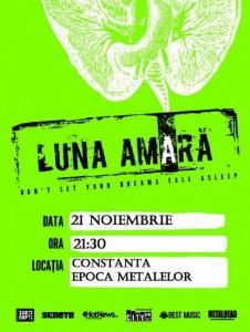 poze concert luna amara