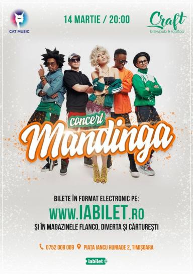 poze concert mandinga