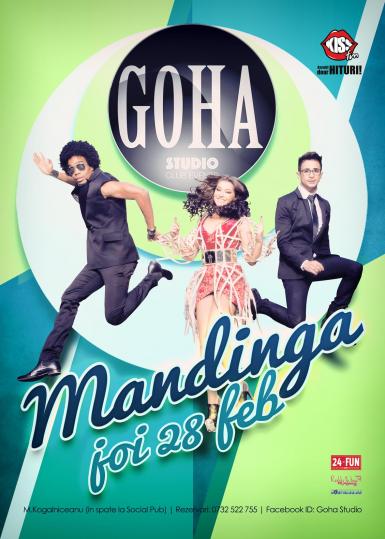 poze concert mandinga