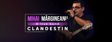 poze concert mihai margineanu band