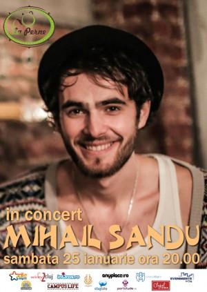 poze concert mihail sandu la cluj