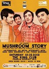 poze concert mushroom story la cluj