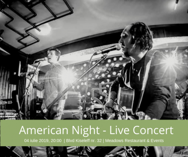 poze concert muzica live american night