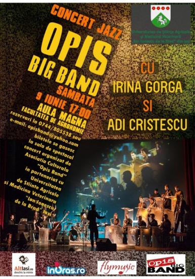 poze concert opis band in iasi
