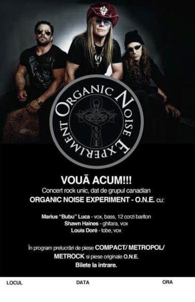 poze concert organic noise experiment