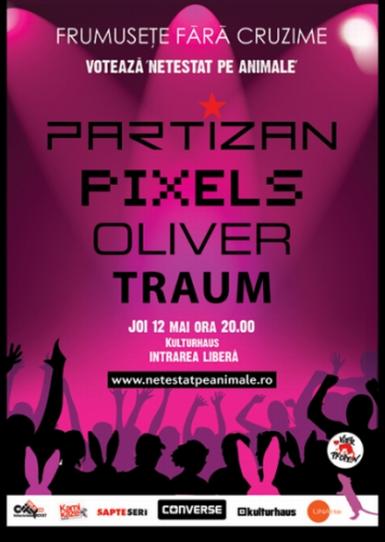 poze concert partizan the pixels oliver si traum in kulturhaus