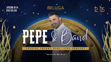 poze concert pepe band