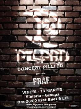 poze concert pillfed simeria