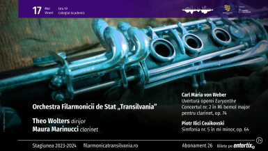 poze concert simfonic
