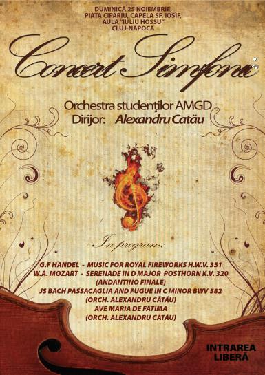 poze concert simfonic