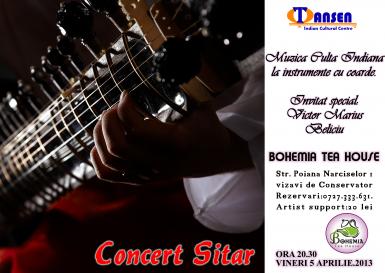poze concert sitar