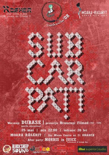 poze concert subcarpati