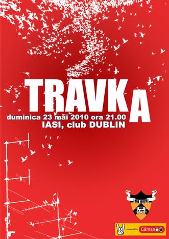 poze concert travka