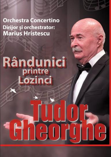 poze concert tudor gheorghe la cluj randunici printre lozinci