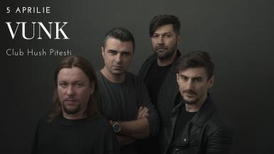 poze concert vunk
