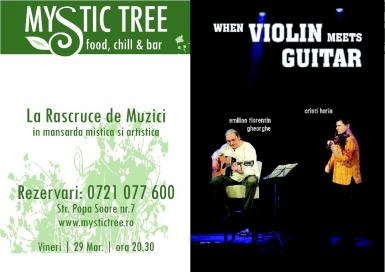 poze concert when violin meets guitar la mystic tree