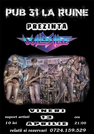 poze concert wildside