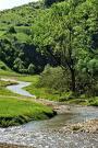 poze concurs national invata ma sa ocrotesc natura 