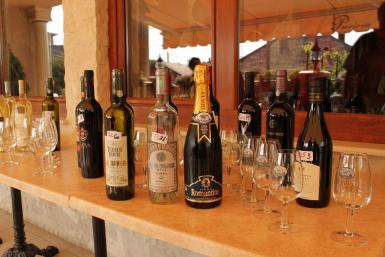 poze concursul national de vinuri strugurele de aur 2010