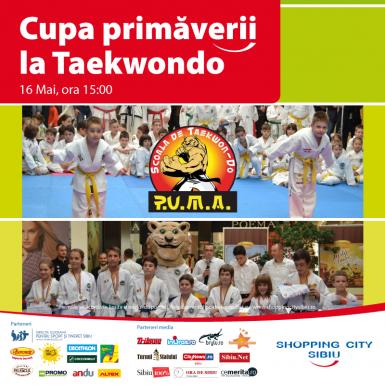 poze cupa primaverii la taekwon do