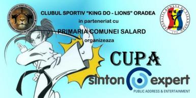 poze cupa sinton expert taekwon do 