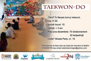 poze curs de taekwon do pentru copii